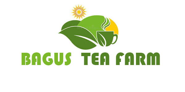 Bagus Tea Farm
